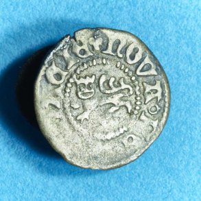 Rigsr&aring;det 1481-83