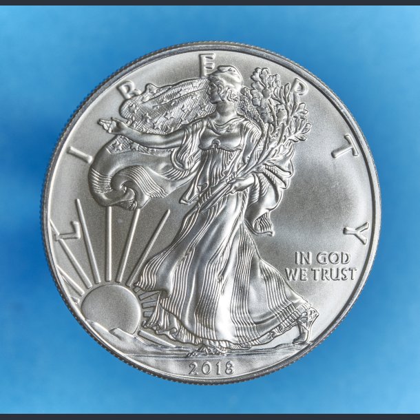 USA 1 dollar Silver Eagle 1 oz. slvmnt - rgang 2007-2018