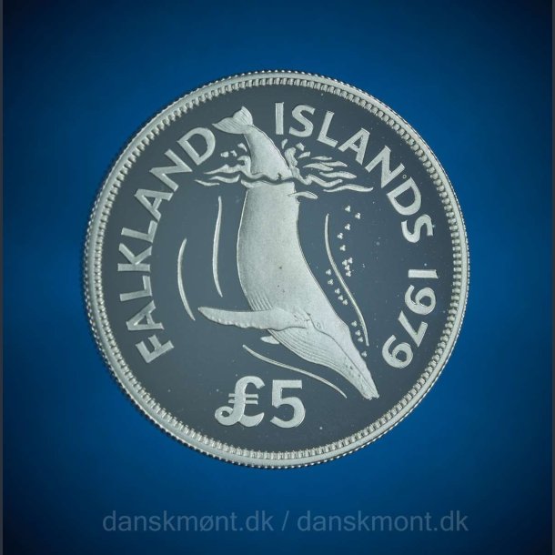 Falklands erne, 2 smukke slvmnter