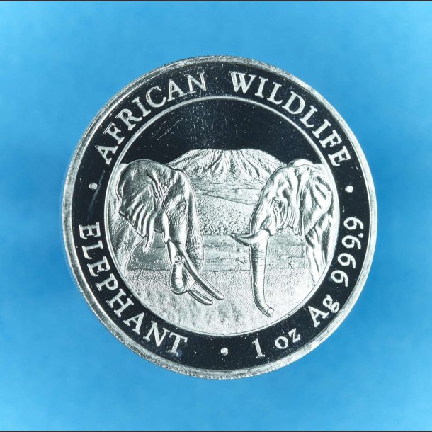 Somali Republic 100 shillings 2020 - Aftican Wildlife 1 oz slvmnt